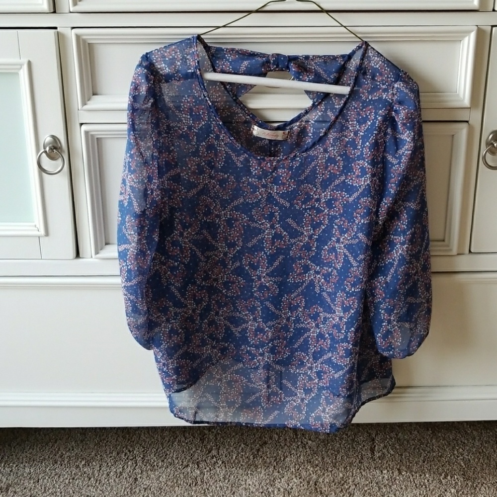 Beautiful Sheer Top